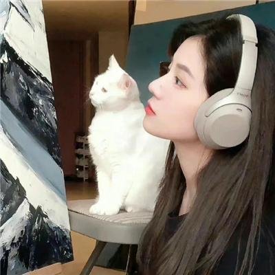 完美丈夫
